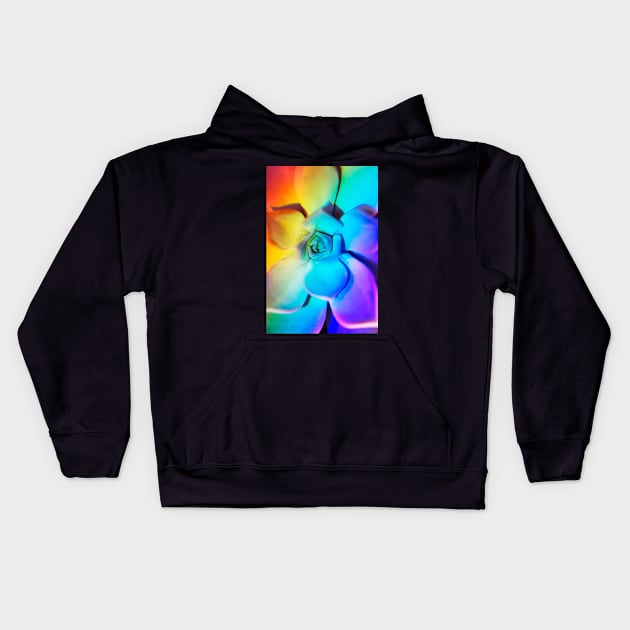 Rainbow echeveria Kids Hoodie by karinelizabeth